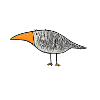 Bird with orange beak