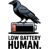 Raven Over Low Battery