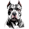 Pitbull Bulldog Pittie American Pitbull Terrier
