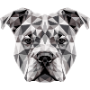 Pitbull Bulldog Pittie American Pitbull Terrier