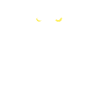 Snowy owl