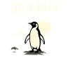 Ushuaia Argentina Penguin