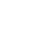 Wild Side Skull Design