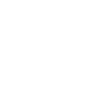 Wild Side Skull Design