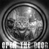 Door On Cats Noir