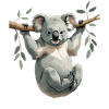 Koala sur une branche – Rêve vert