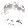 Bigfoot Surfing