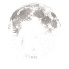 Bigfoot Basketball Player