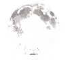 Bigfoot Boxes