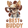 Chihuahua Chihuahueño Best Buddy