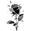 Gray and Black Geometric Rose
