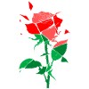 Contrast Rose: Red-Green PopArt Rose