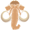 Mammoth