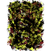 Neon Gelb Schwarz Blattmuster