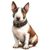 Pitbull Terrier Illustration