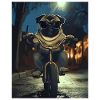 Pug on bike at night