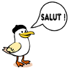Seagull Beret Hi