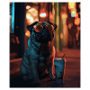 Mops mit Sonnenbrille und Eiskaffee