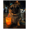 Mops mit Eisdrink