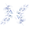Blue Floral N Monogram