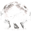 Bigfoot Guitarist