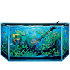 Aquarium Aquahole Aquahole Amateur
