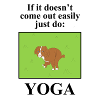 Dog Yoga Prank Design
