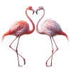 Flamingo Heart Duet