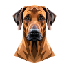 Cani da caccia Rhodesian Ridgeback Pride Ridgeback