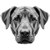 Rhodesian Ridgeback Jagdhund Hunde Stolz Ridgeback