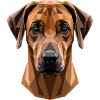 Rhodesian Ridgeback Jagdhund Hunde Stolz Ridgeback