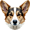 Corgi Corgi Galles Cardigan Cane Corgi Carino Corgi Galles