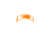 Keep Your Wild Side Skull
