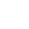 Always Stay Wild Skull