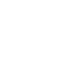 Guépard