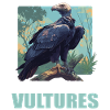 Vulture