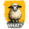 What? Sheep with question mark