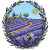 Lavender trail in sunlight