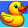 Duckling Duck Duck Duck