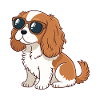 Dog Rider Chic Sunglasses