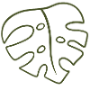 Monstera Line Art Leaf