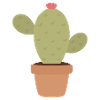 Cactus Charm in Pot Minimal Pop