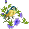 Bunter Vogel