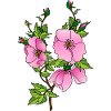 Fleur