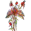 Fleur