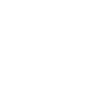 Talk Birdy To Me