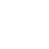 Officer