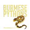 Burmesische Python HDE Schlangen-Stofftier-Reptil