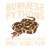 Burmesische Python liefert Schlangenliebhaber-Reptilienpfleger
