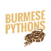 Burmesischer Python-Stoff Reptilien-Foos-Schlangenbesitzer